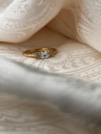 Marquise Ave Ring
